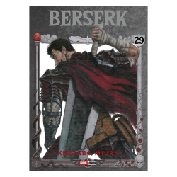 Berserk 29